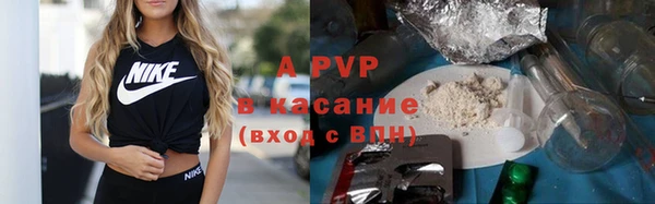 сатива Алзамай