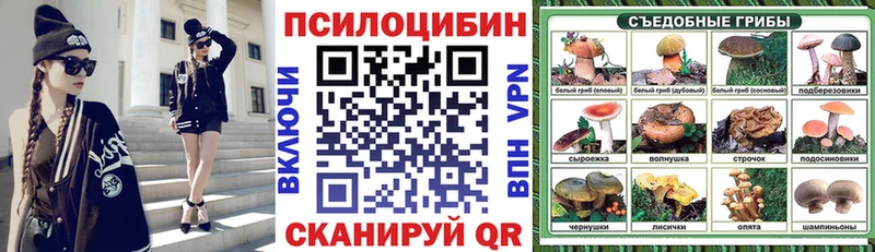 даркнет сайт  OMG зеркало  Галлюциногенные грибы Cubensis  Галич 