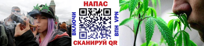Бошки Шишки SATIVA & INDICA  дарнет шоп  Галич 
